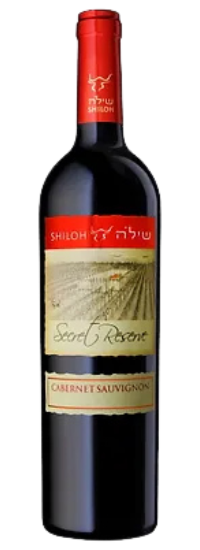 יקב שילה - סוד - קברנה סובניון