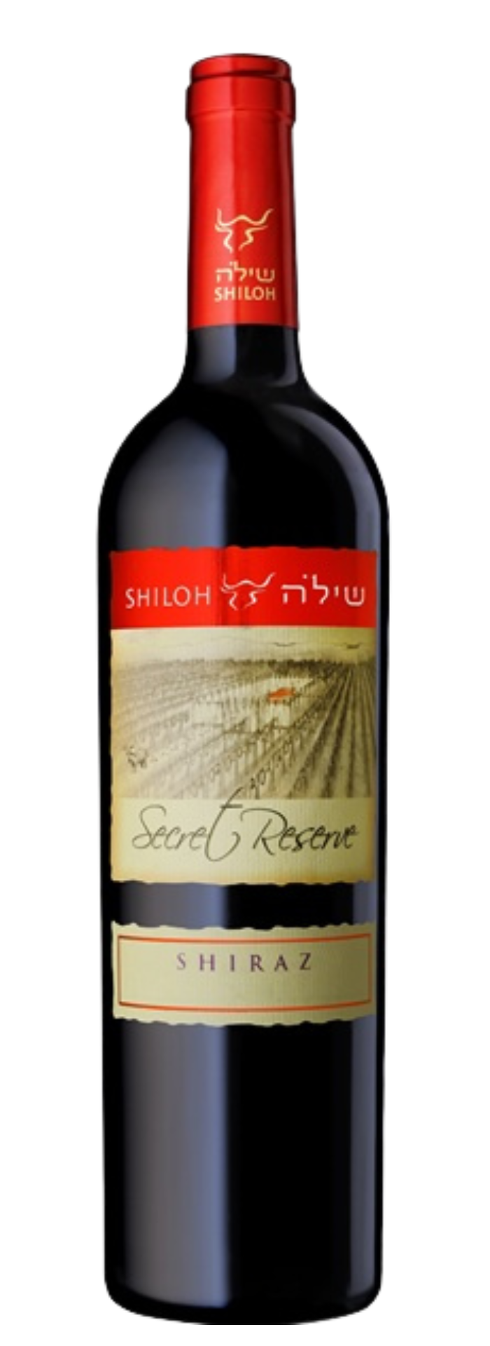יקב שילה - סוד - שיראז