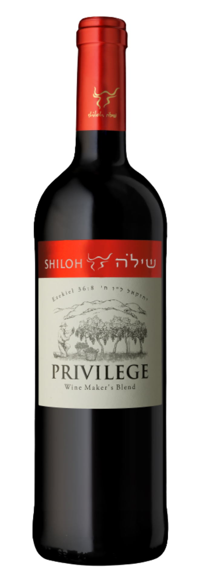 יקב שילה - פריולג'